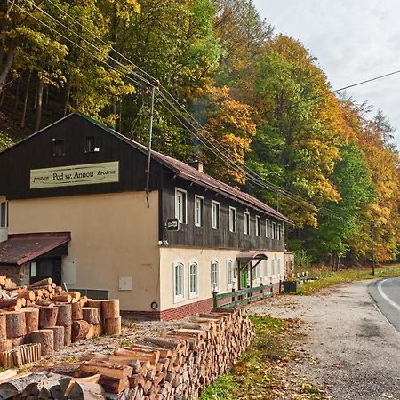 Pod Svatou Annou - Penzion A Rizkovna Horní Maršov Extérieur photo