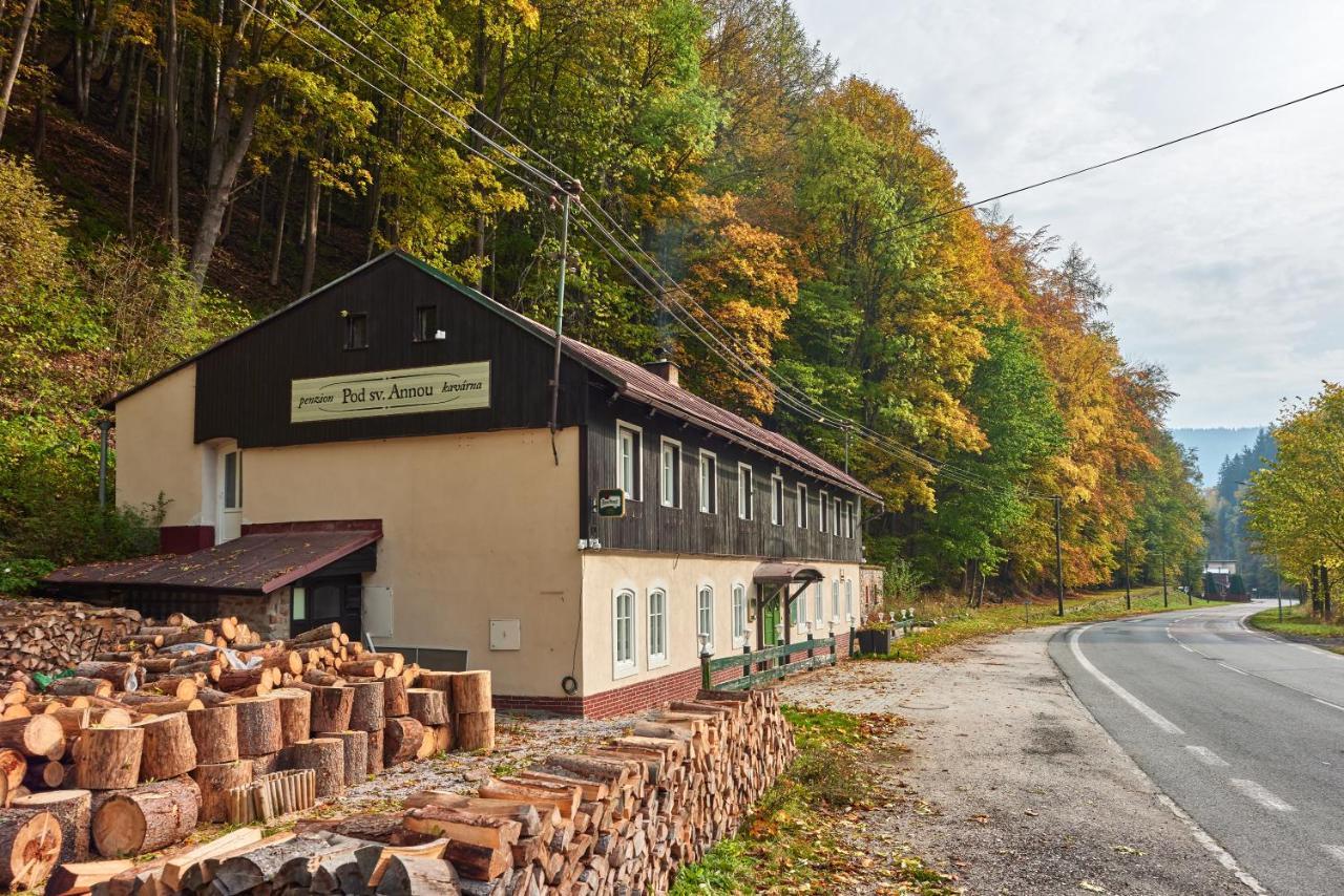 Pod Svatou Annou - Penzion A Rizkovna Horní Maršov Extérieur photo